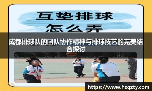 成都排球队的团队协作精神与排球技艺的完美结合探讨